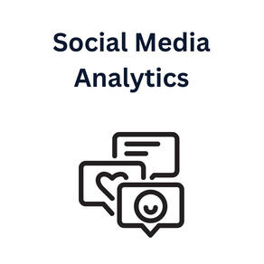 View the interactive power bi dashboard that captures the daily weekly and monthly analytics of social media pages.